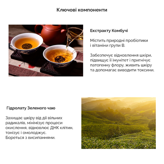 Dr.Ceuracle Vegan Kombucha Holiday Set, 4 в 1❤️купить в Киеве